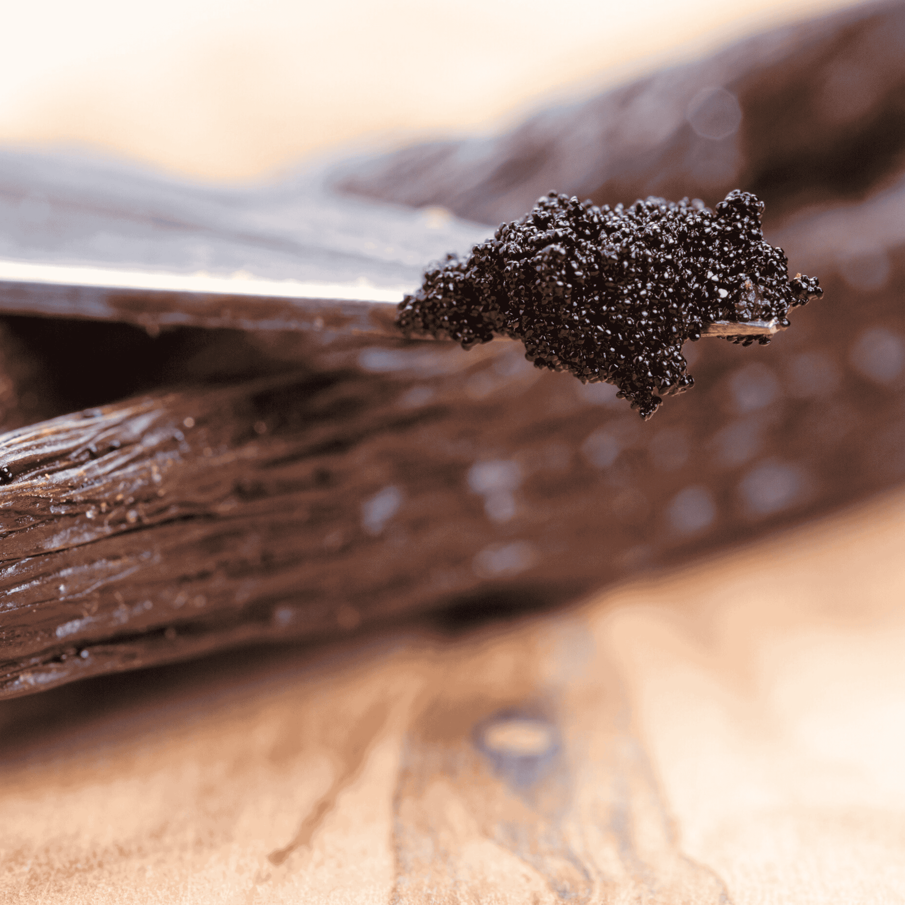 50 Grand Cru Vanillekapseln • Extra Gourmet Qualität Vanille • Geschmeidige und feste Kapsel • Ideal für Backwaren und Kochen •