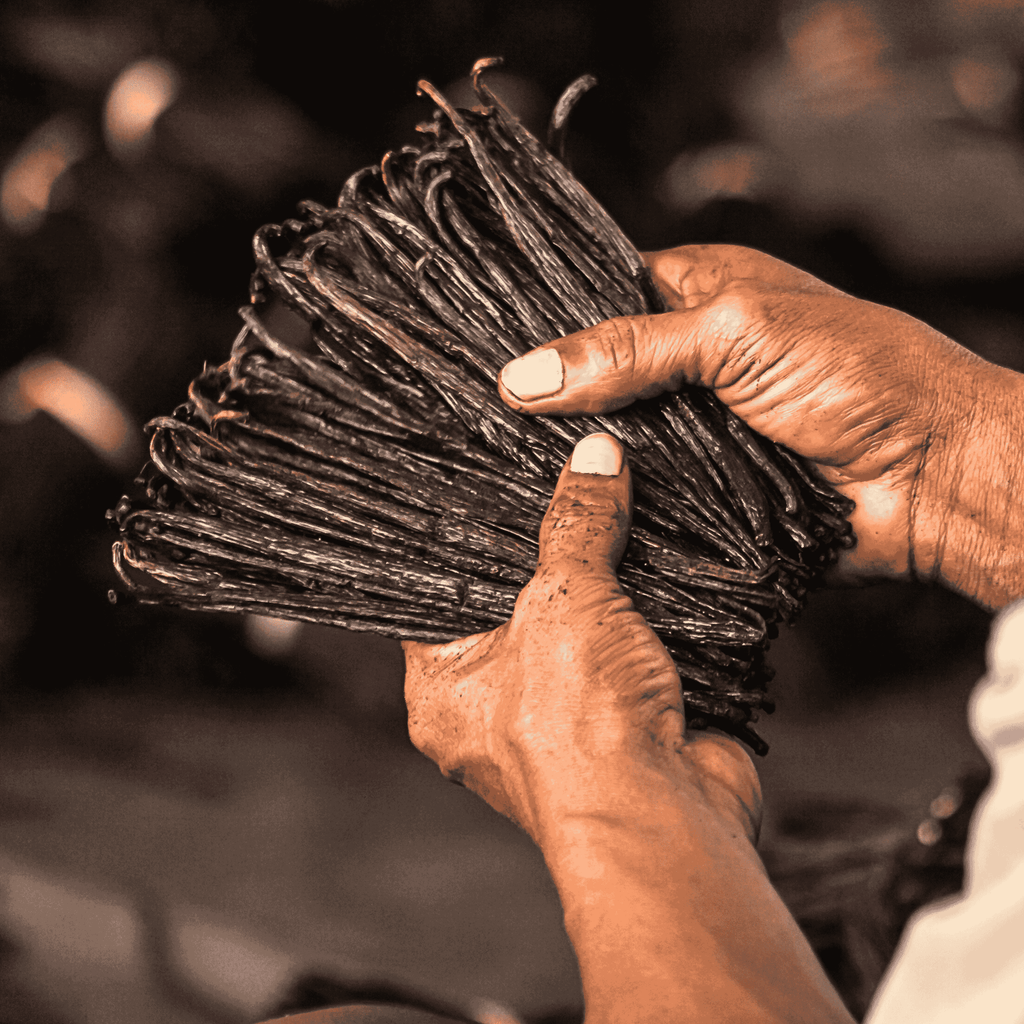 50 Grand Cru Vanillekapseln • Extra Gourmet Qualität Vanille • Geschmeidige und feste Kapsel • Ideal für Backwaren und Kochen •