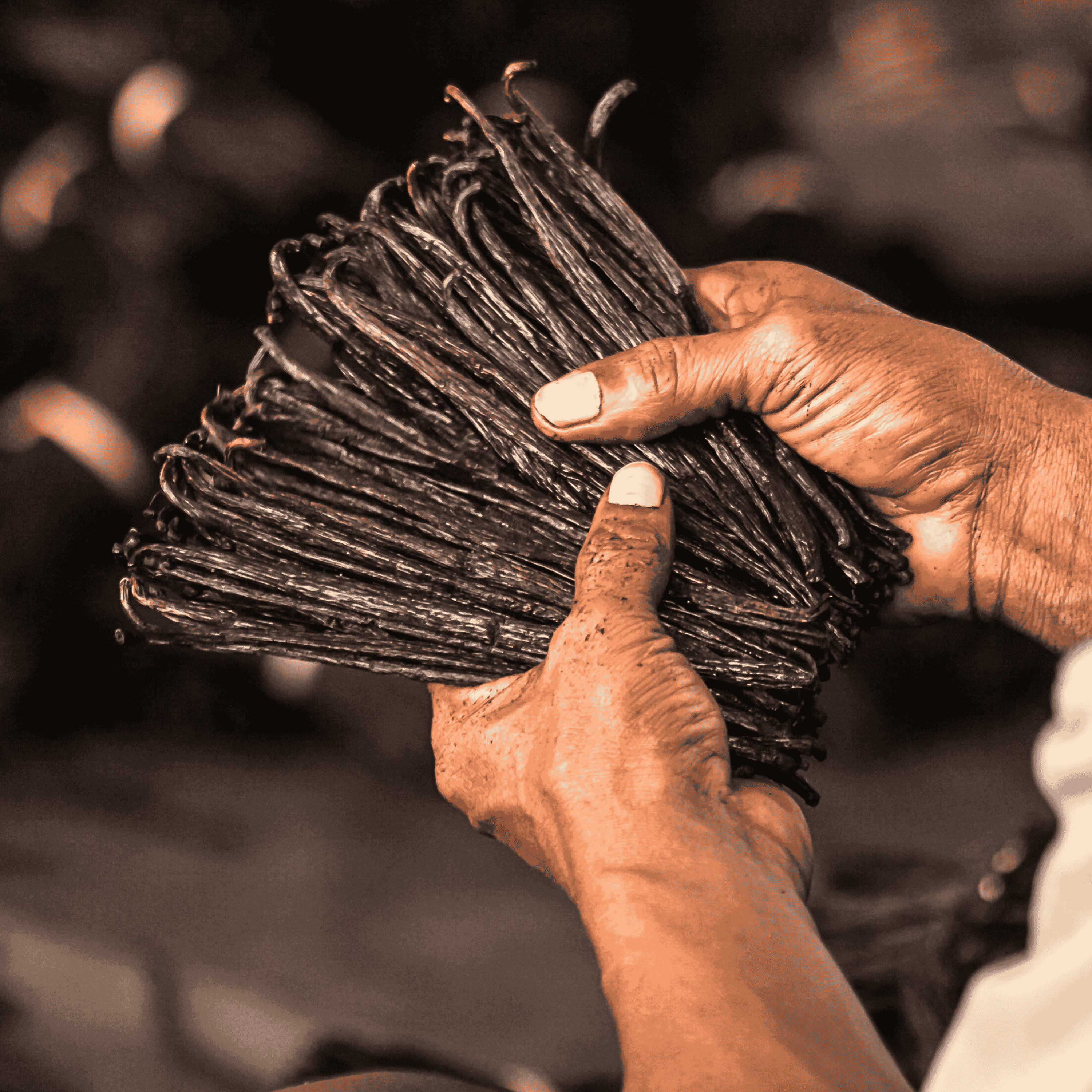 50 Grand Cru Vanillekapseln • Extra Gourmet Qualität Vanille • Geschmeidige und feste Kapsel • Ideal für Backwaren und Kochen •